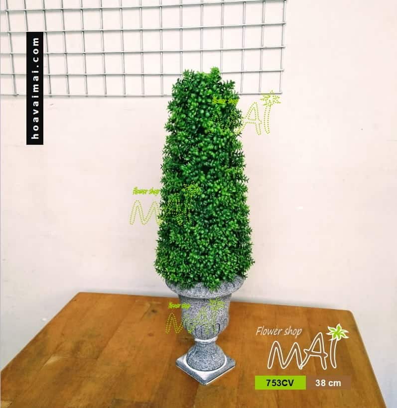 Chậu cỏ bonsai 753CV