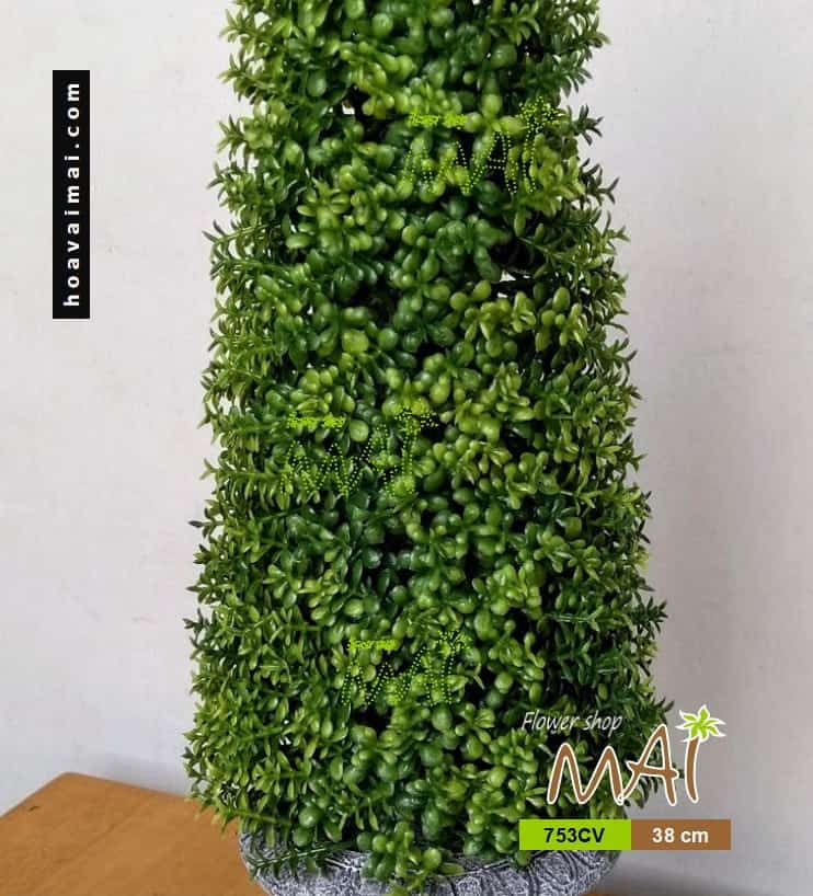 Chậu cỏ bonsai 753CV