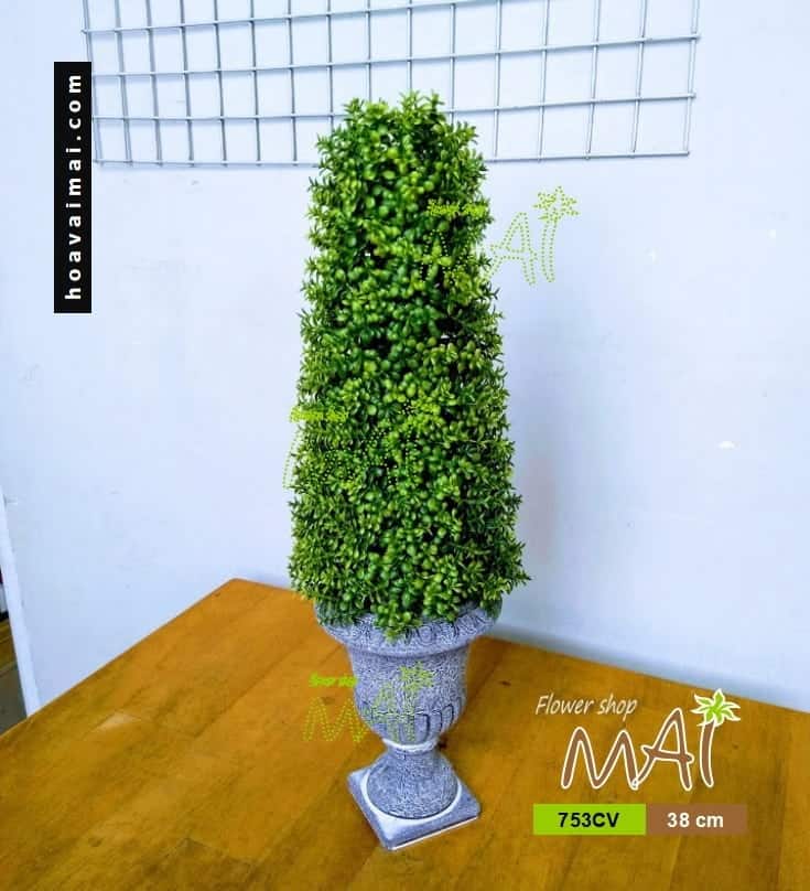 Chậu cỏ bonsai 753CV