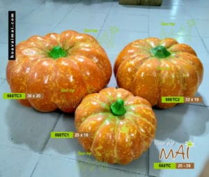 Quả bí đỏ 688TC