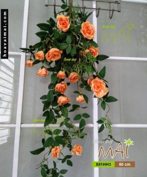 Bụi hồng rũ 681HH