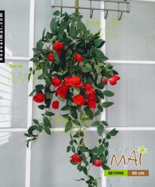 Bụi hồng rũ 681HH