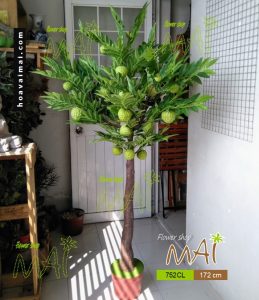 Cây mãng cầu na giả 170cm 752CL