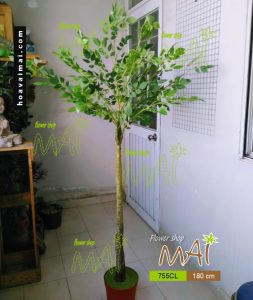 Cây trang trí 755CL