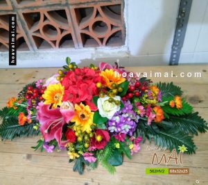 Khay hoa vải 562HV2
