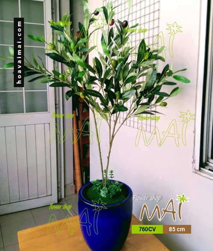Cây ô liu giả đẹp giá tốt 760CV