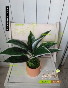 Lọ cây để bàn 102CN