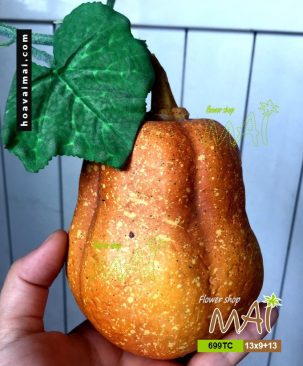 Bí đỏ hồ lô 699TC