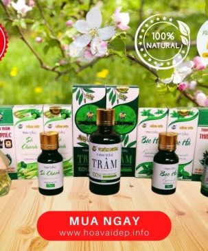 Tinh dầu thiên nhiên các loại