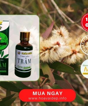 Tinh Dầu Tràm Thiên Nhiên 50ml – 109TDT
