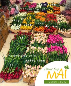Cành tulyp vải 3 bông 103HC - Nhiều màu