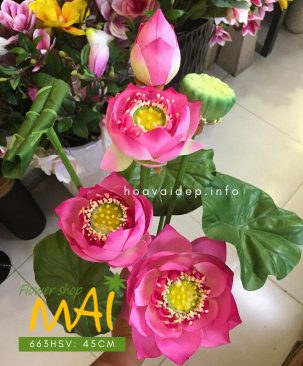 Bụi sen Thái Lan cao 45 cm 663HSV