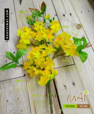 Cành mai Tết TET002