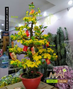 Mai Tết 135cm TET161