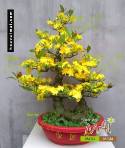Mai bonsai giả 2 thân cao 95cm BM022