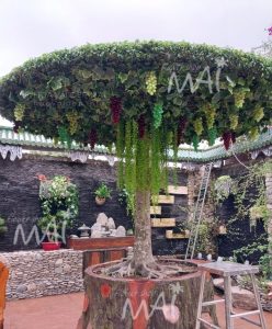 Giàn nho gồm lá nho và quả nho