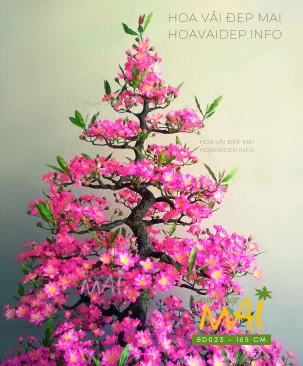 Đào bonsai giả dáng đẹp gốc to 165cm BD023