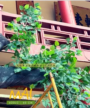 Cành lá bồ đề giả đẹp như thật 620LC