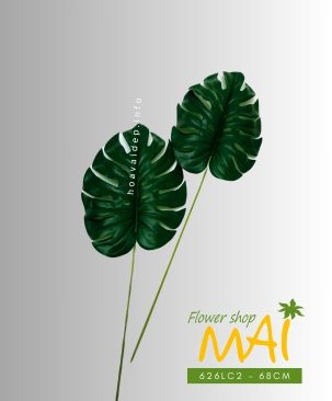 Trầu bà lá xẻ 626LC2 cành dài 68cm