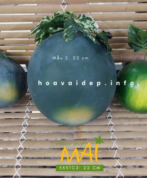 Dưa hấu giả quả tròn 22cm 555TC2