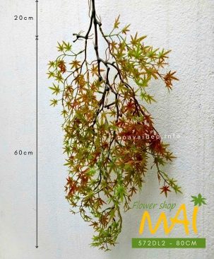 Bụi dây lá phong giả rũ loại lá nhỏ 572DL2