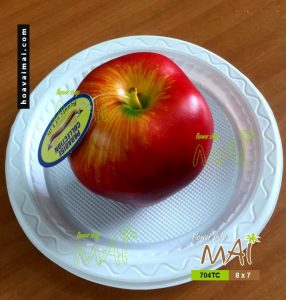 Trái táo Mỹ 704TC