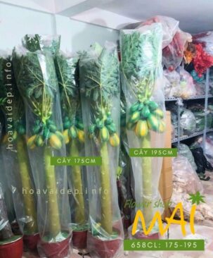 Cây đu đủ giả cao 658CL