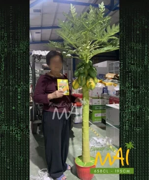 Cây đu đủ giả cao 195CM 658CL