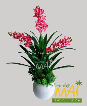 Địa Lan hồng 3 thân đẹp giá tốt 131CV