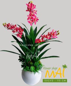 Địa Lan hồng 3 thân đẹp giá tốt 131CV