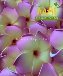 Hoa sứ giả như thật 528HB10