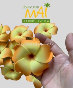 Hoa sứ giả như thật 528HB11