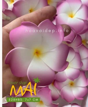 Hoa sứ giả như thật 528HB3