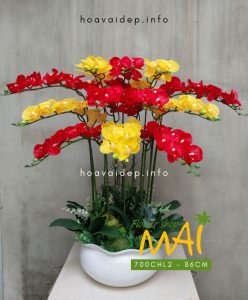 Chậu lan hồ điệp cao su 12 cành 700CHL2