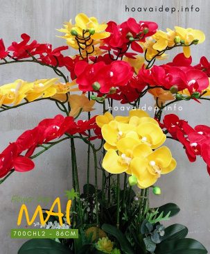 Chậu lan hồ điệp cao su 12 cành 700CHL2