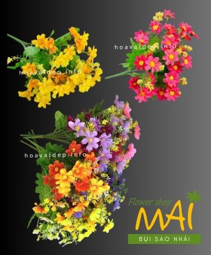 Bụi hoa sao nhái