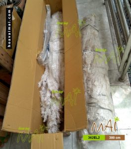 Thông trắng 3m 362EL2