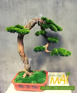 Cây tùng bonsai giả thân gỗ lũa 221BST