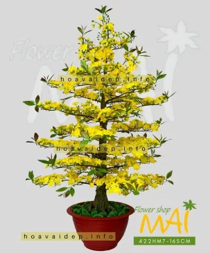 Chậu mai Tết giả nhiều bông 165cm 422HM7