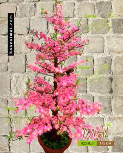 Cây hoa đào 175cm 423HD8