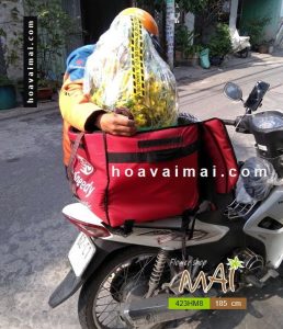 Mai Tết 185cm 423HM8