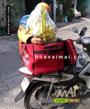 Mai Tết 185cm 423HM8