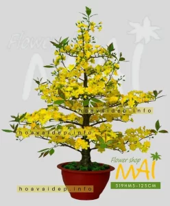 Chậu Mai Tết giả cao 125cm 519HM5