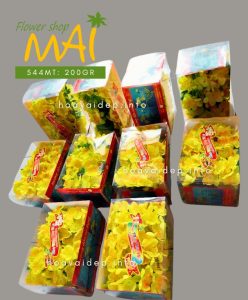 Hộp mai chùm giả trưng Tết 544MT