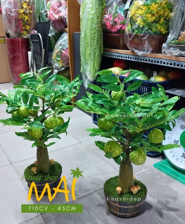 Cây na giả để bàn 710CV