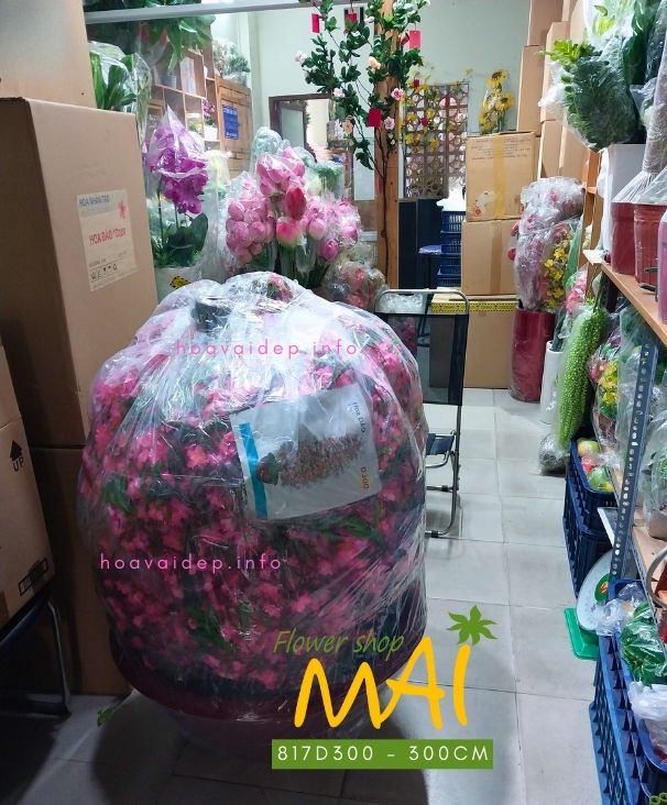 Cây Đào Tết cao 3 mét dầy bông đẹp 817D300