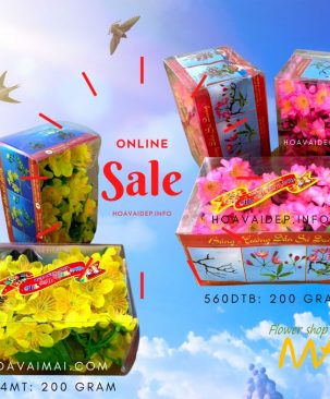 Hộp mai chùm - đào chùm - 200gr
