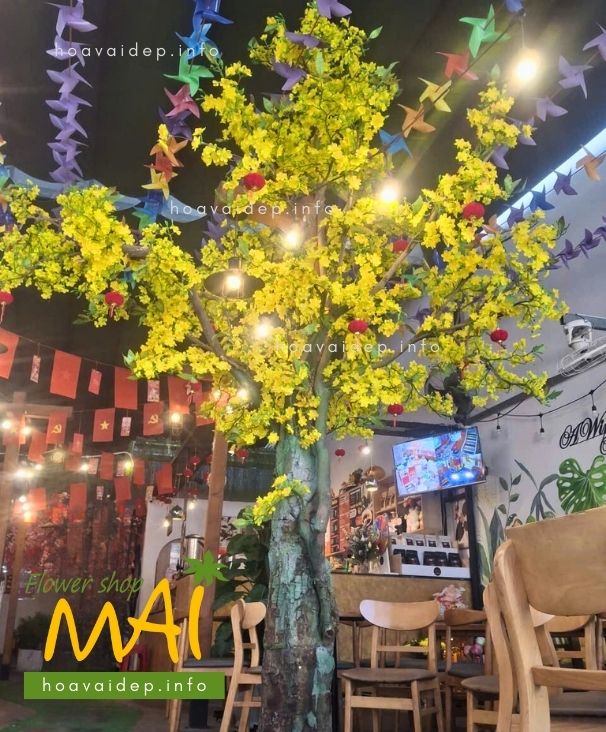 Cây mai cao 4m sử dụng cành mai giả để ghép thành