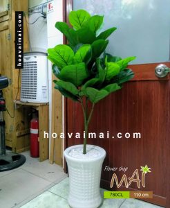 Cây bàng Singapore giả 780CL