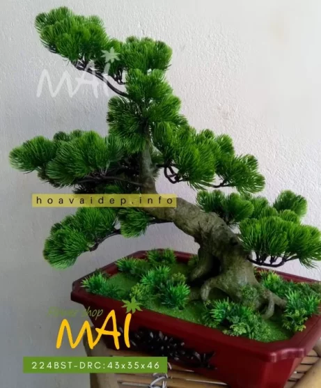 Cây tùng bonsai giả bằng nhựa 224BST